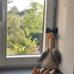 Cosy